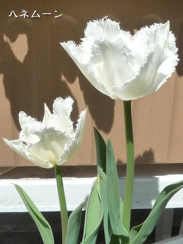120411a.jpg