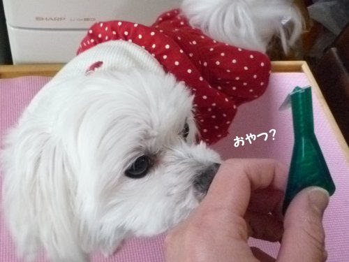 120411e.jpg