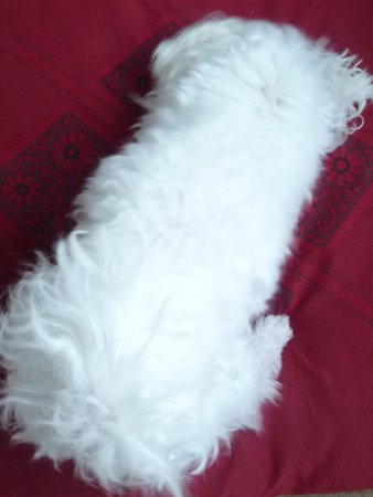 120411f.jpg