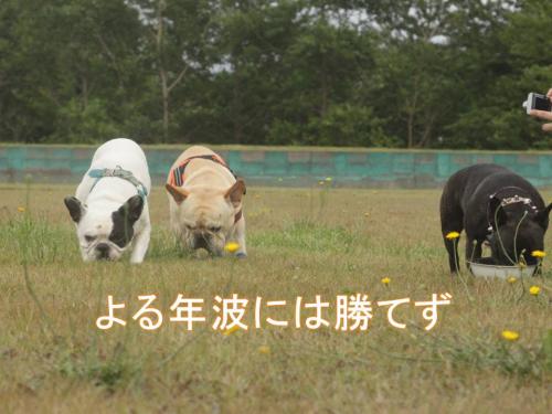 スライド6