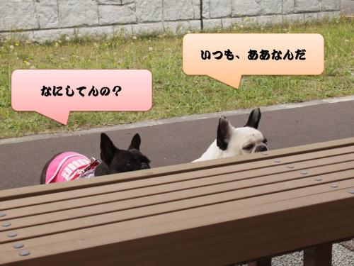 スライド13