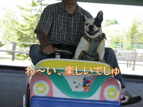 スライド8