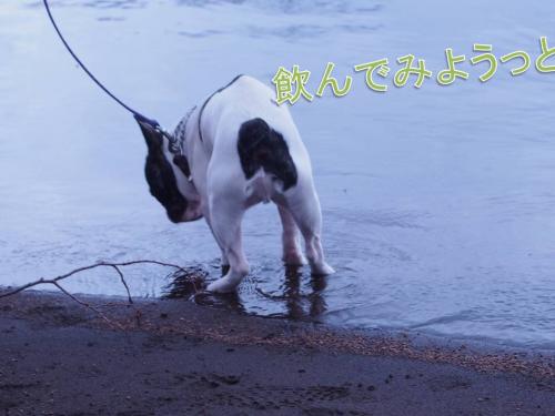 スライド6