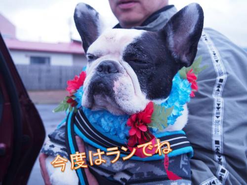 スライド9