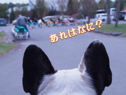 スライド9