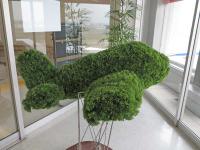 CFapr12_3652.jpg