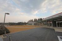 CFmar12_6543.jpg
