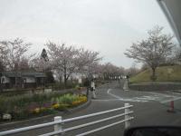 IMG_1951.jpg