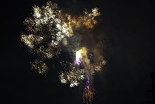 20110827_senko.jpg