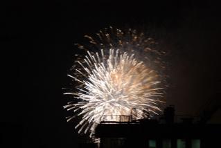 20110827_sumida-hana.jpg