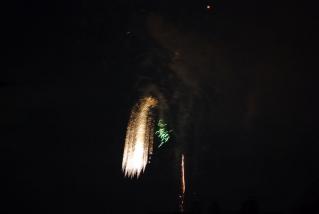20110827_sumida-tare.jpg