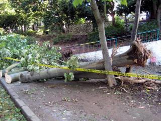 20110922_komazawa.jpg
