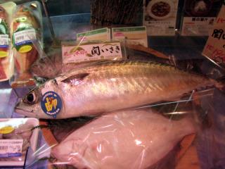 20111019_misaki_saba-02.jpg