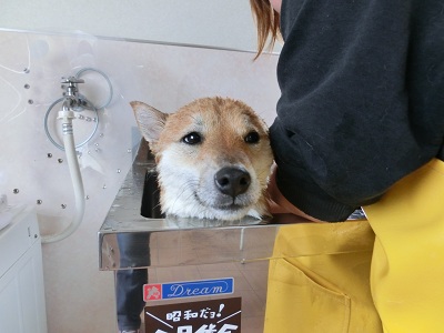 CIMG3563_20130207233832.jpg