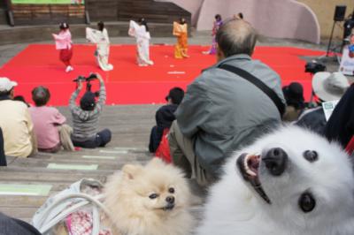 オカマ隊結成しましゅか?