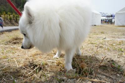 生はダメでしゅね