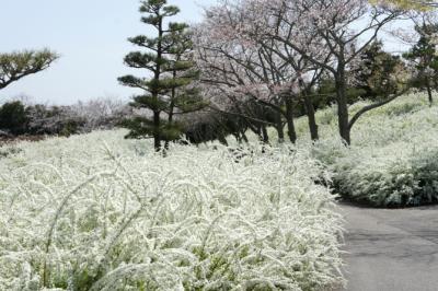 これを見にきたんだけど・・・