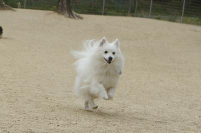 えっほ♪