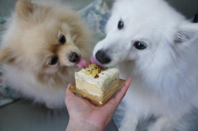 狙った場所が同じでしゅ