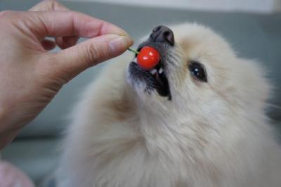 あぶっ