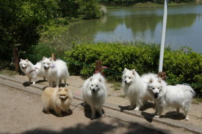 こっち向いて~っ