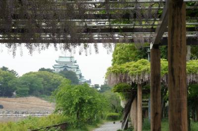 にゃごやじょう
