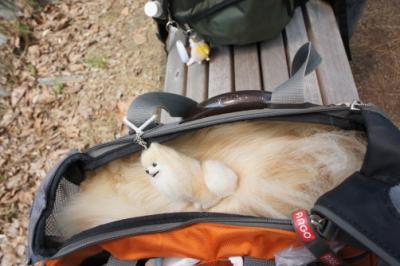 ひきこもりでち