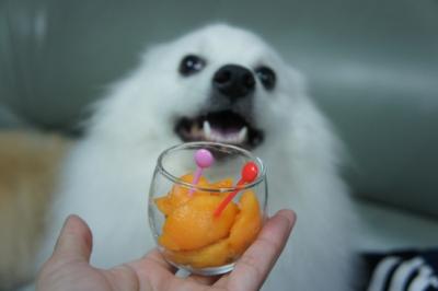 あざらし