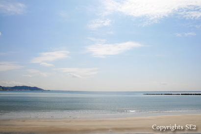120315-5.jpg
