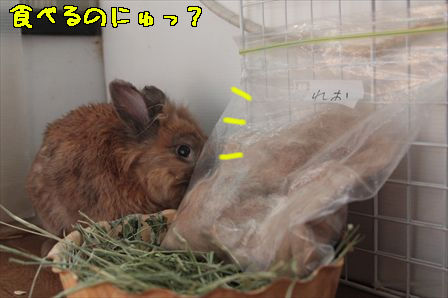 201303236