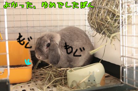 2013/5/17/3