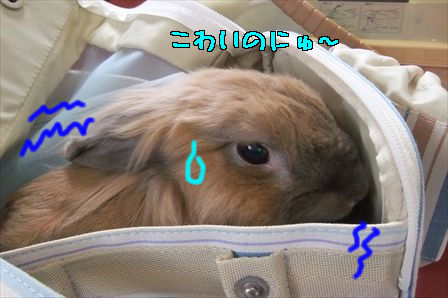 2013/6/8/1