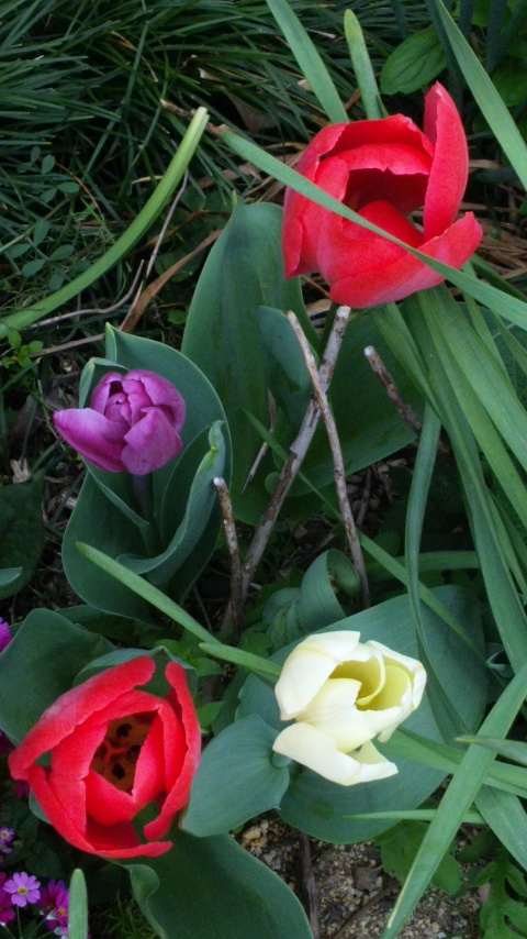130331_082633.jpg