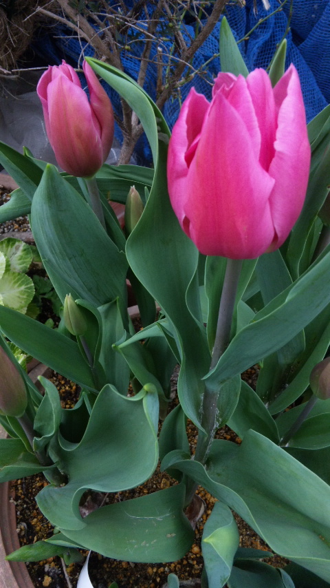 130331_082734.jpg