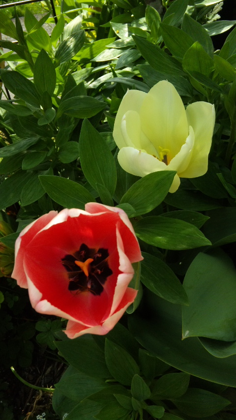 130401_130028.jpg