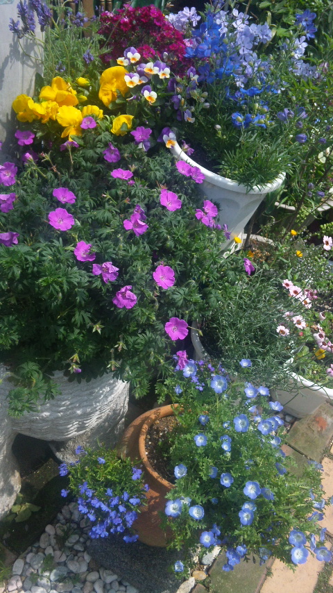 130419_124953.jpg