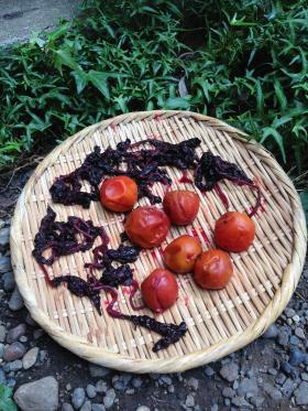 IMG_2038_convert_20130723114349.jpg
