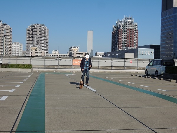 20131121-2.jpg