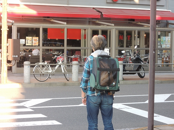 20131121-4.jpg