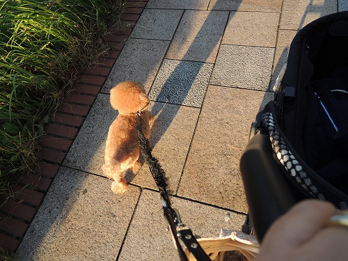 20131121-5.jpg