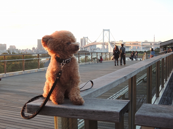 20131121-7.jpg