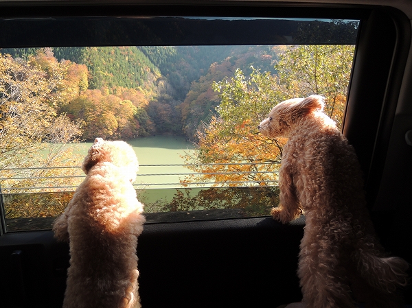 20131122-2.jpg