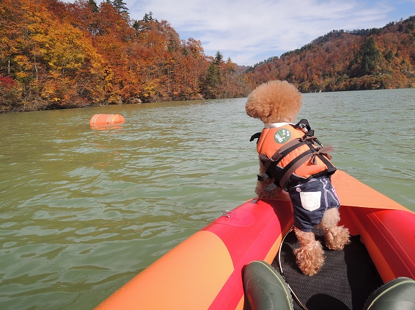 20131122-22.jpg
