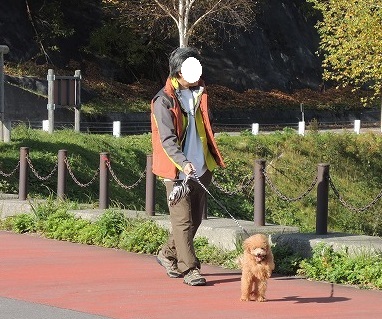 20131122-3.jpg