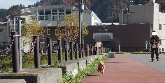 20131122-5.jpg