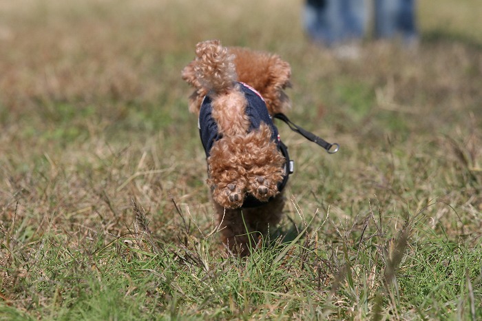 20131125-11.jpg