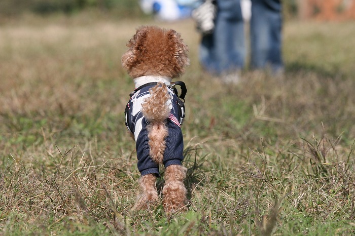 20131125-12.jpg