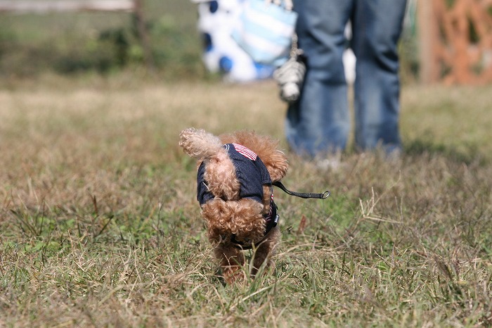 20131125-13.jpg