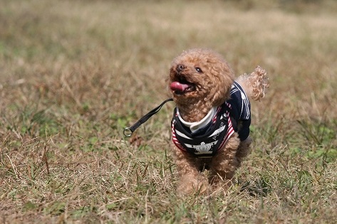 20131125-15.jpg