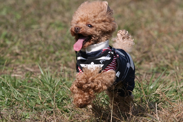 20131125-16.jpg